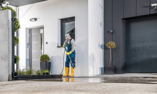 Best Driveway Pressure Washing  in San Antonio, FL