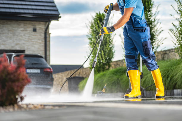 Best Animal Enclosure Cleaning  in San Antonio, FL